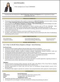 Student resume templates and job search guidelines. How To Write And What To Include In A Student Resume