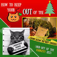 How to keep my cat away from the christmas tree. Keep Your Cat Out Of The Christmas Tree And Off Of The Naughty List Allegheny North Veterinary Hospital