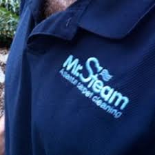 mr steam carpet upholstery cleaning