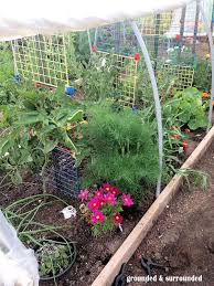 70 frugal gardening ideas