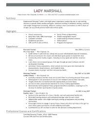 Personal Information Resume Paragraph Form Sample Of In Trainer