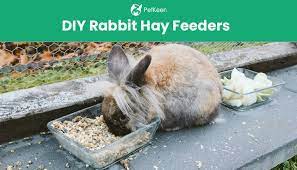 7 simple diy rabbit hay feeders you can