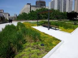 Toronto Unveils Lush New Green Roof At
