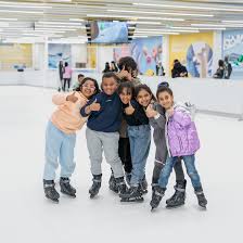 ice rink business plan cost