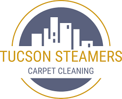 carpet cleaning in catalina az