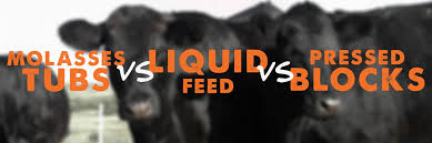 liquid feed vs moles tubs vs