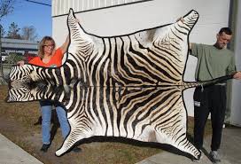 real burci zebra skkin rug