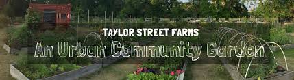 taylor street farms urban gardening