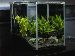 10 gallon aquarium tanks
