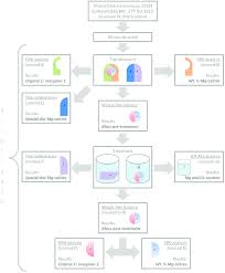 Flow Chart Of Experimental Design Cleaning Treatments And