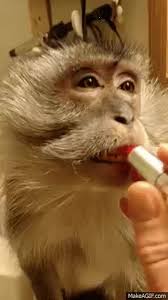 monkey putting on makeup on make a gif