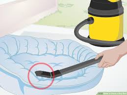 cleaning a dog bed how to wash a dog