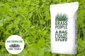 Eco Clover Lawn Grass Seed The Grass