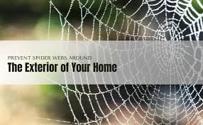 Prevent Spider Webs Around The Exterior