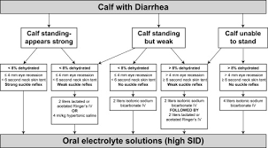 Treatment Of Calf Diarrhea Intravenous Fluid Therapy