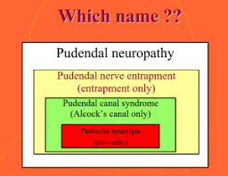 pudendal neuralgia physiopedia