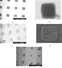 Assembly Of Colloidal Particles By