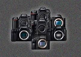 best full frame cameras of 2024 dslr