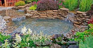 the best pond pump for keeping your