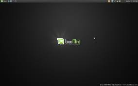 linux mint 11 for digital painting