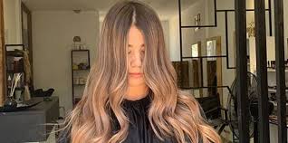 17 the most popular fall hair colors and highlights ideas in 2019. 25 Hair Color Ideas And Styles For 2019 Best Hair Colors And Products