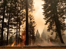 The caldor fire was estimated at 400 acres on sunday evening, the el dorado county sheriff's office said. Fnaxzpc3 1lv9m