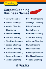 carpet cleaning company names 485