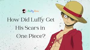 did luffy get his scars in one piece