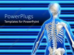 Powerpoint Template Anatomy Of The Human Skeletal System On