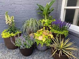 how to group container gardens together