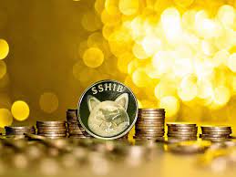 Shiba Inu coin price sky rockets to all ...