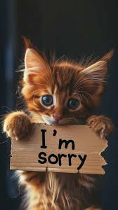 sorry love dp sharechat photos and videos