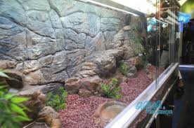 Aquarium Background For Narrow Aquarium