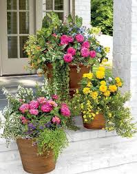 Don T Ditch Your Pots Designscapes Of