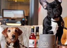 dog friendly manchester pubs and bars