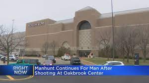 Oak Brook Mall Reopens For Last Minute ...