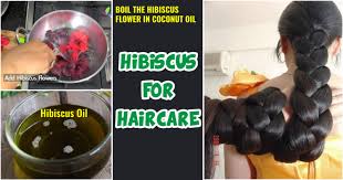 hibiscus for hair care indian makeup