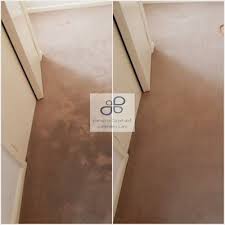 expert carpet cleaning winchester