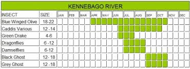 Kennebago River Hatch Chart