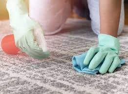 carpet care carpet cleaning options