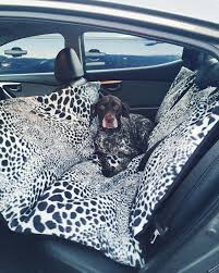 Larger Pooch Diy Dog Stuff Dog Car