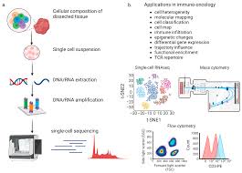 single cell ysis in immuno oncology