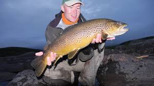 Wild Brown Trout Fly Fishing In The Atlantic Salmon Reserve