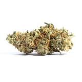 Image result for whats Amnesia Haze  strain