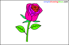 how to draw a flower easy things to