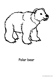 Please share cartoon bear coloring pages with pinterest or other social media, if you awareness with this wallpapers. Polar Bear Coloring Pages Printable For Kids Coloring4free Coloring4free Com