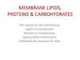 ppt membrane lipids proteins