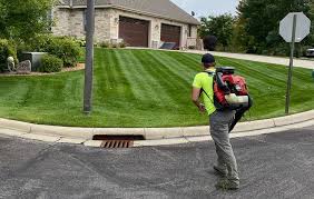 Learn about lawn care and landscaping with tips, reminders, articles, and other resources from our team here at emerald outdoor, llc. Emerald Companies Inc St Cloud Lawn Care St Cloud Mn 320 251 5296