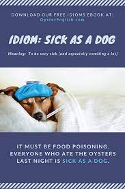 idiom sick as a dog meaning exles