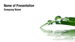 Grass In Water Powerpoint Templates Grass In Water